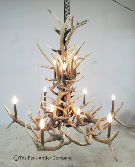  566 - Elk Antler Chandelier