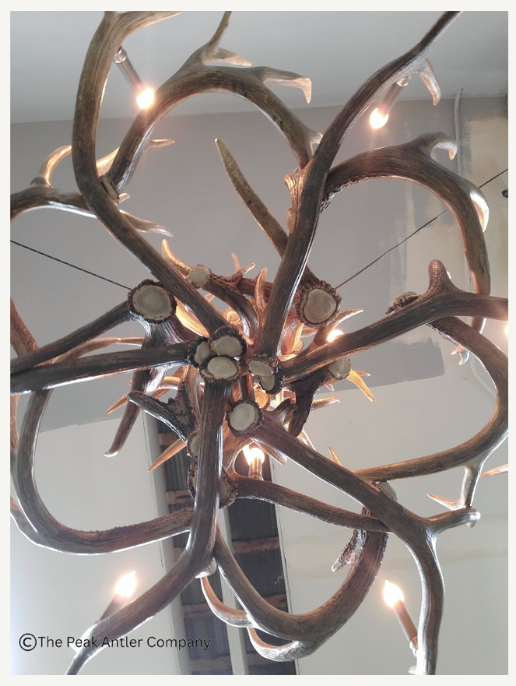 The Mt. Bachelor Elk Antler Chandelier