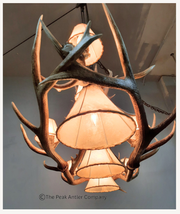 The Bear Valley Elk & Deer Antler Chandelier