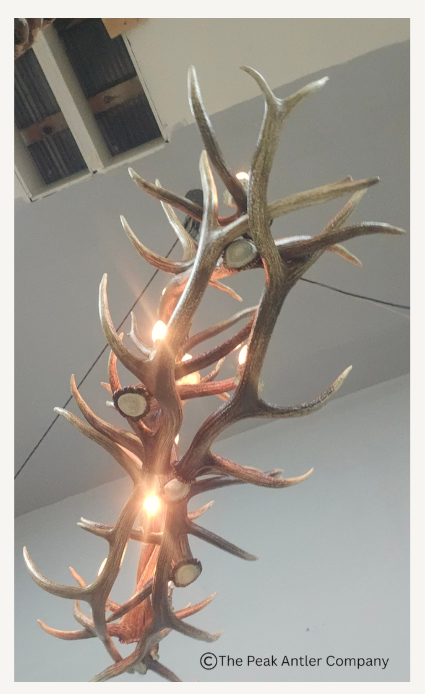 The Twin Towers Elk Antler Chandelier