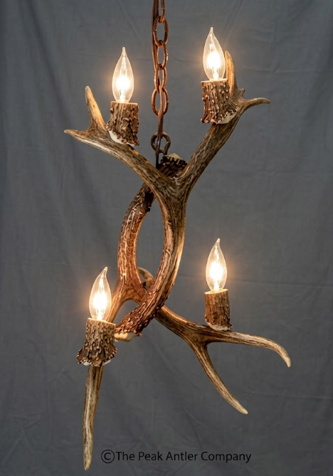 Antler chandelier with four lights on a gray background, branded 'The Peak Antler Company'.