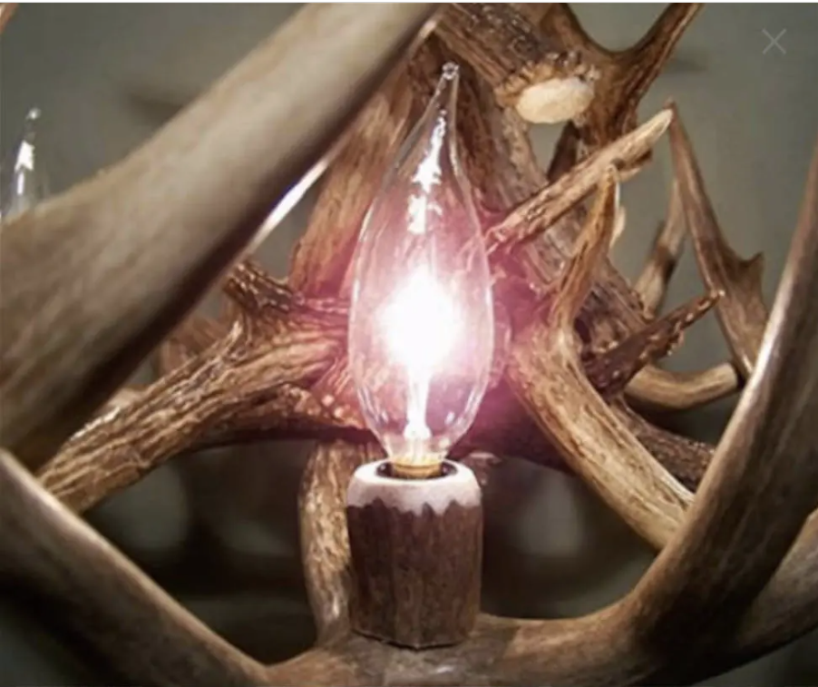 The Stairway to Heaven Deer Antler Chandelier 7' Tall 6' Wide 28 Lights