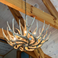 Casper Faux Deer Antler Chandelier, 37"W x 22"T