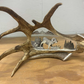 Wild Ram Antler Carving