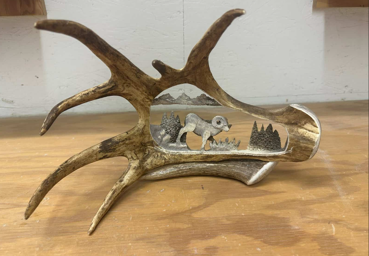 Wild Ram Antler Carving