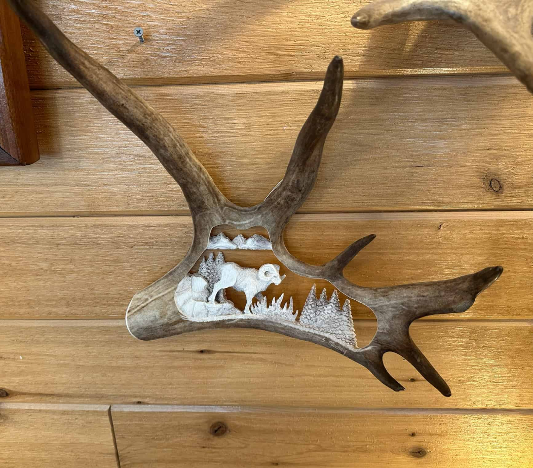 Wild Ram Antler Carving