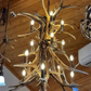 The Himalaya Real Elk Antler Chandelier