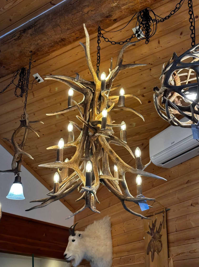 The Himalaya Real Elk Antler Chandelier