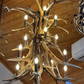 The Himalaya Real Elk Antler Chandelier