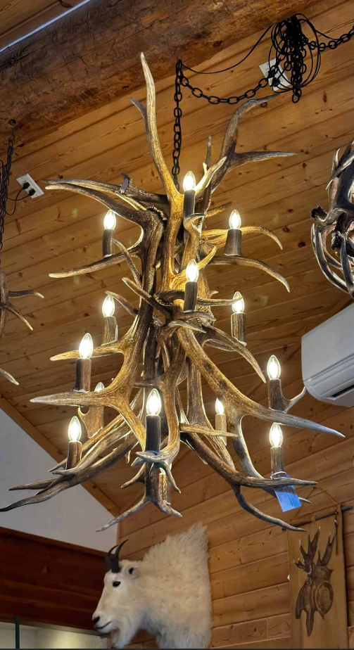 The Himalaya Real Elk Antler Chandelier