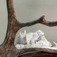 Momma Grizzly & Her Cub Moose Antler Carving, 20-24"