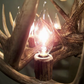 The Himalaya Real Elk Antler Chandelier