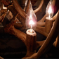 Columbia River Deer Antler Chandelier
