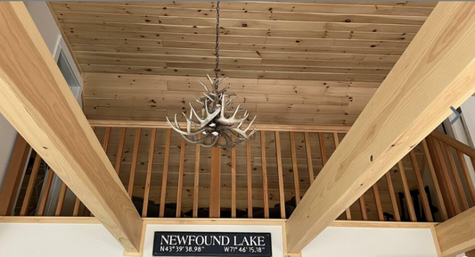 Maine Deer Antler Chandelier, 26" W x 20"T, 6 Lights