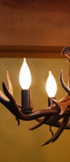 Virginia Deer Antler Chandelier, 26" W x 16" T, 6 Lights