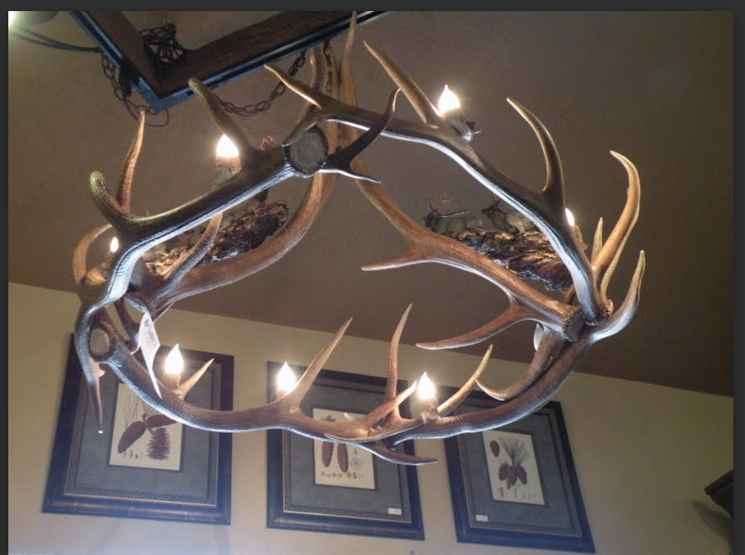 Mt Eolus Elk Antler Chandelier