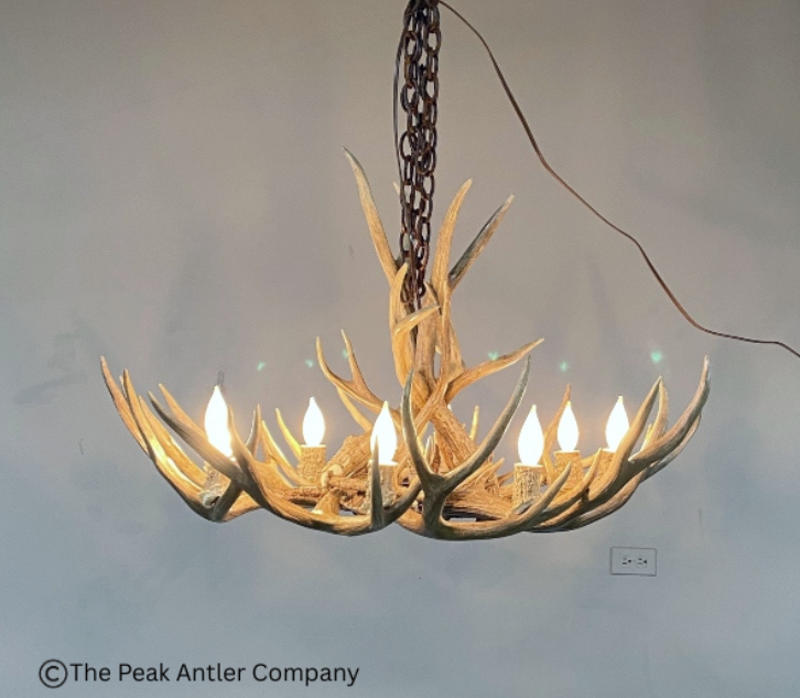 Large - 501 L Farmhouse deer antler chandelier