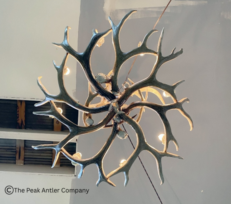 Whitefish Deer Antler Chandelier