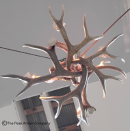 Sm- Deer Antler Chandelier 