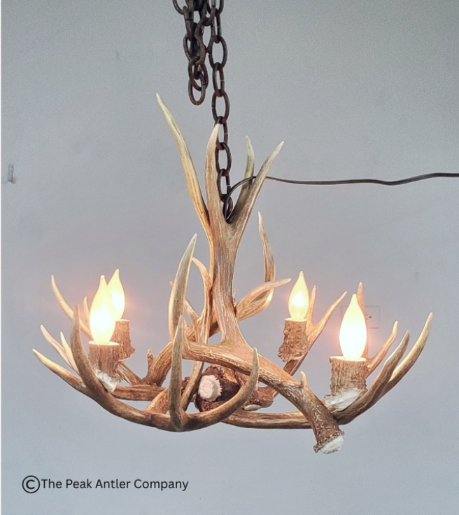 Small 501- S Farmhouse mule deer