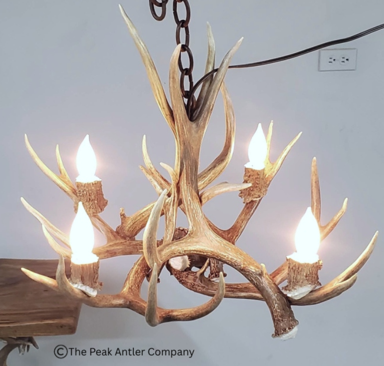 Small 501- S Farmhouse mule deer antler chandelier