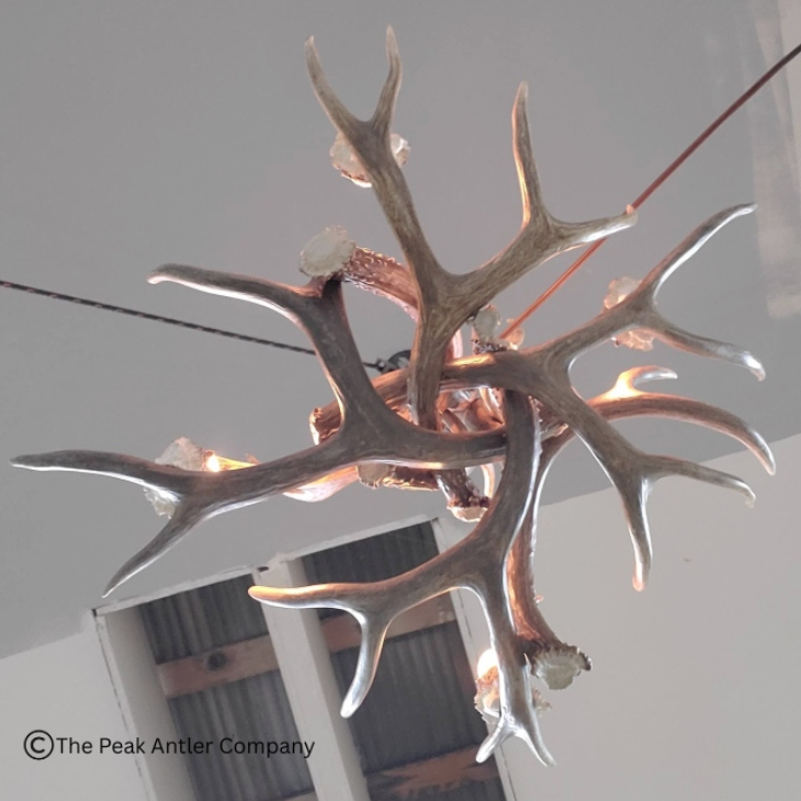 Small 501- S Farmhouse mule deer antler chandelier