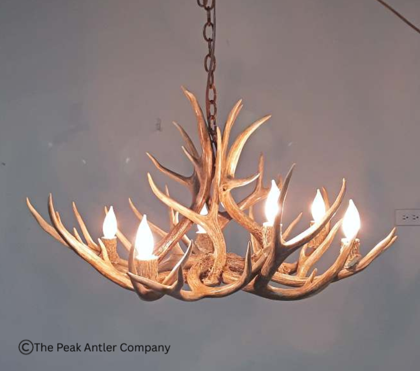 501-M Medium Farmhouse mule deer antler chandelier