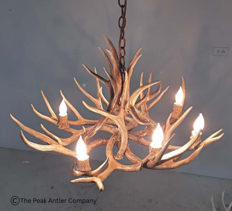 501-M Medium Farmhouse mule deer antler chandelier
