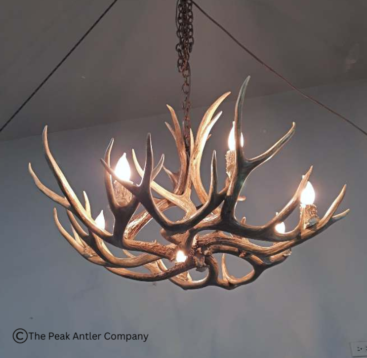 501-M Medium Farmhouse mule deer antler chandelier