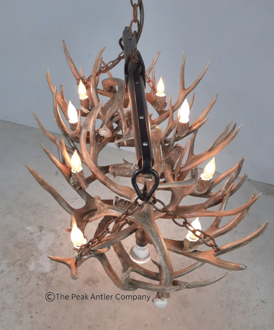 Small Deer Antler Chandelier 