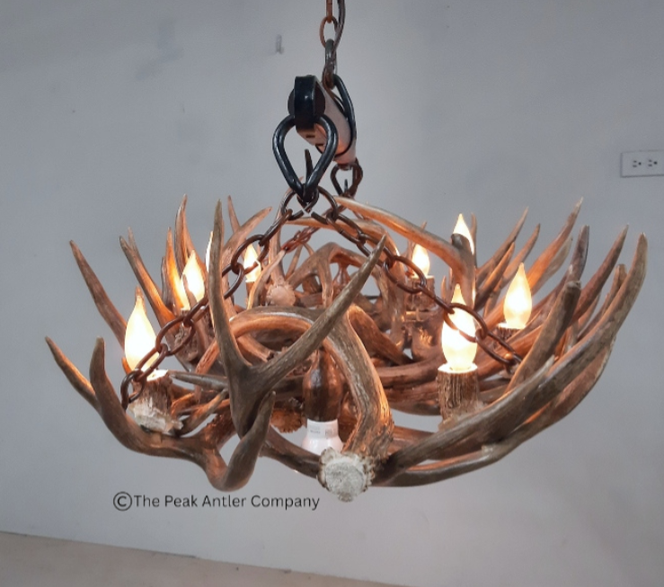 Small Deer Antler Chandelier 