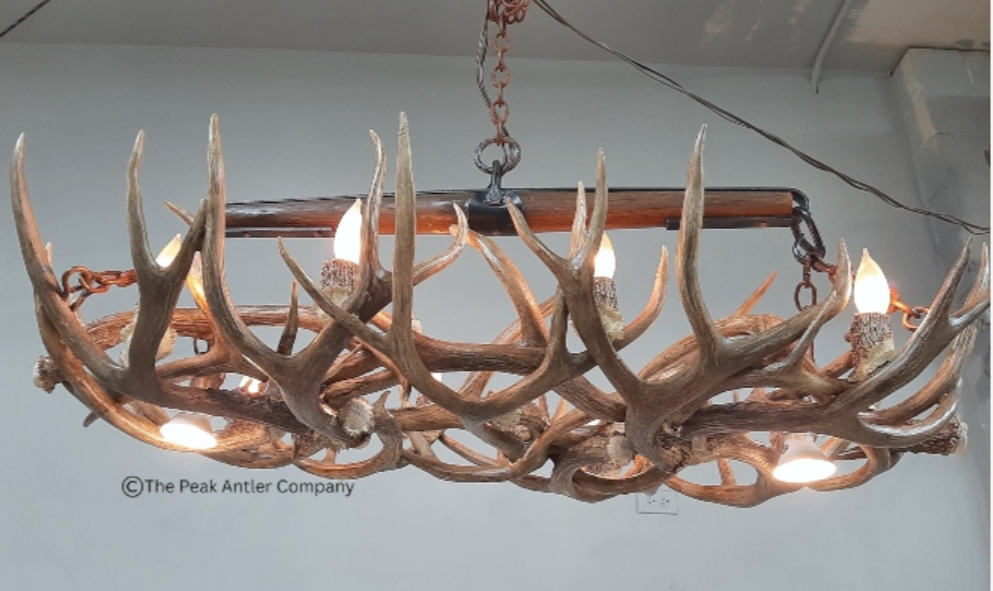 Small Deer Antler Chandelier 