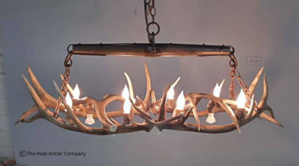 Small  Elk Antler Chandelier