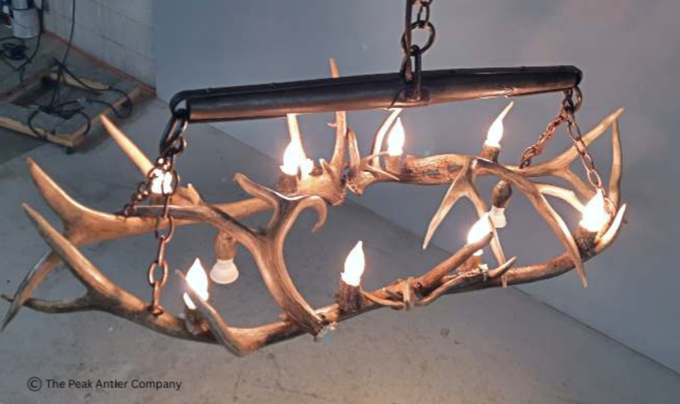 Small  Elk Antler Chandelier