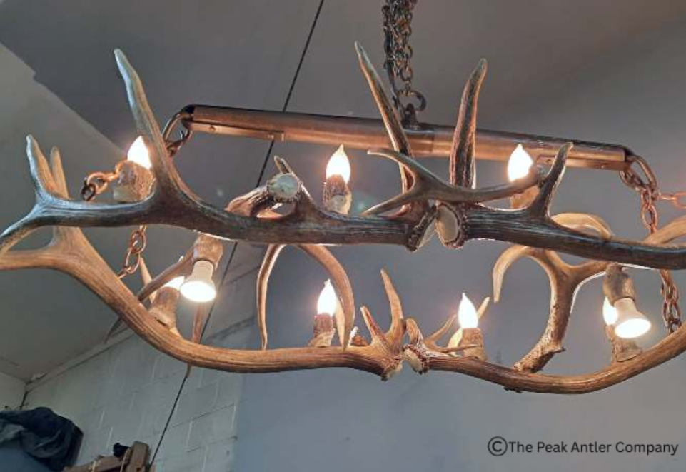 Small  Elk Antler Chandelier