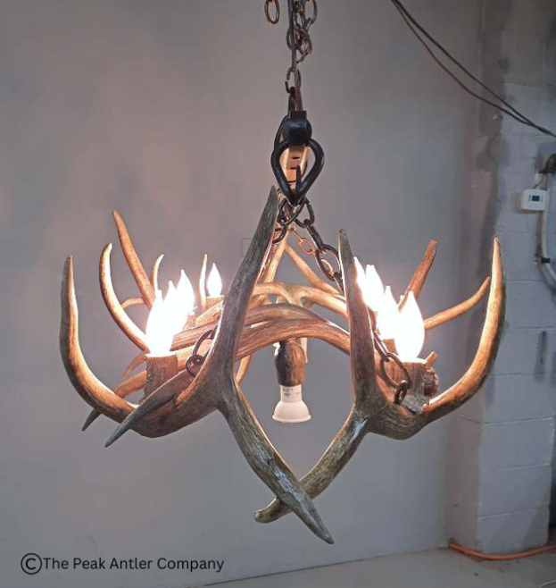 Small  Elk Antler Chandelier