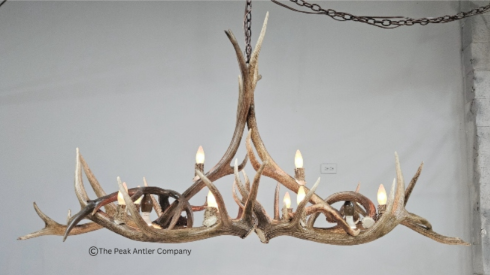 Medium  Elk Antler Chandelier