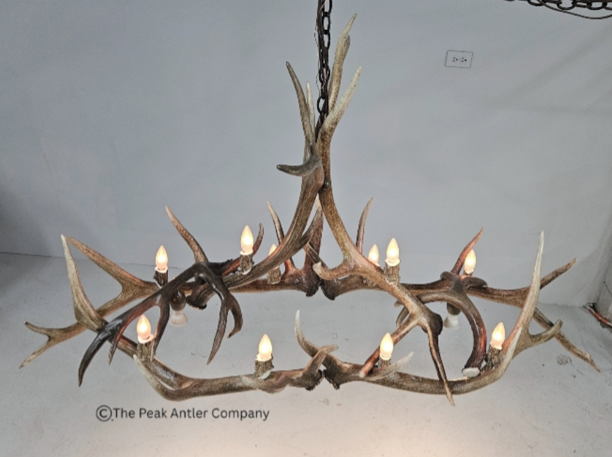 Medium  Elk Antler Chandelier