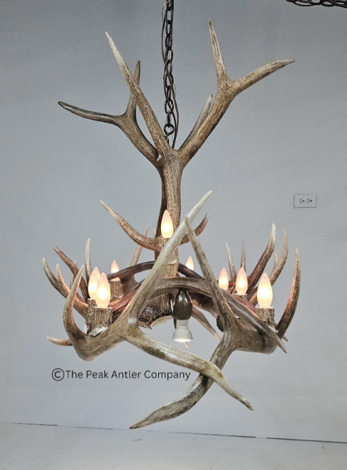 Medium  Elk Antler Chandelier