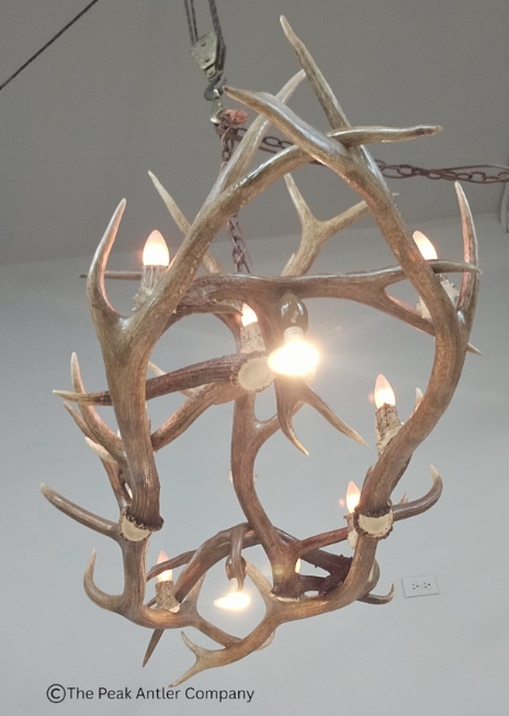 Medium  Elk Antler Chandelier