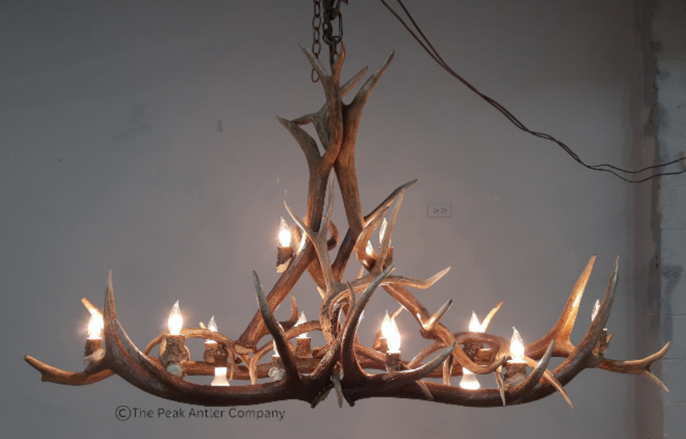 Large Elk Antler Chandelier