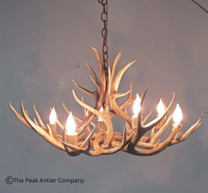 Med- Deer Antler Chandelier