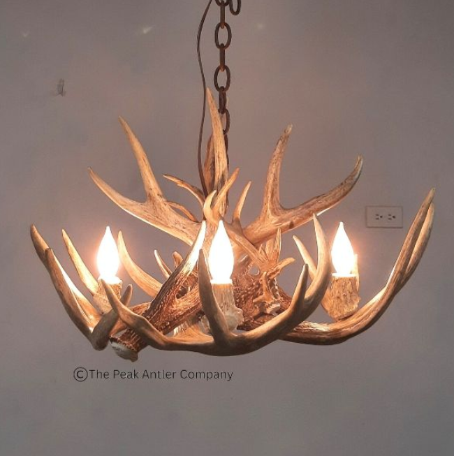 Small Deer Antler Chandelier