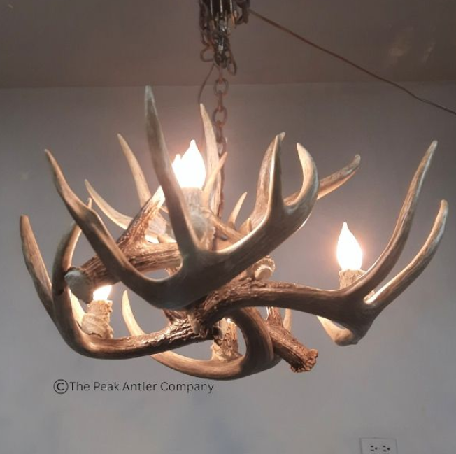 Small Deer Antler Chandelier
