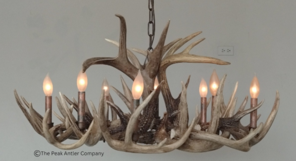 Oval deer antler chandelier