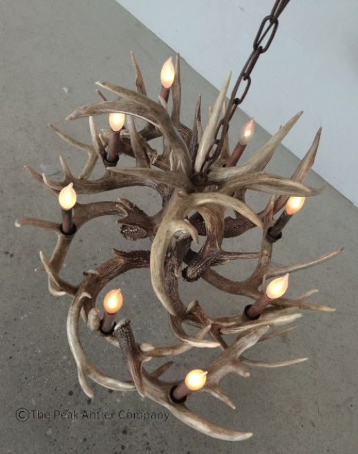 Oval deer antler chandelier