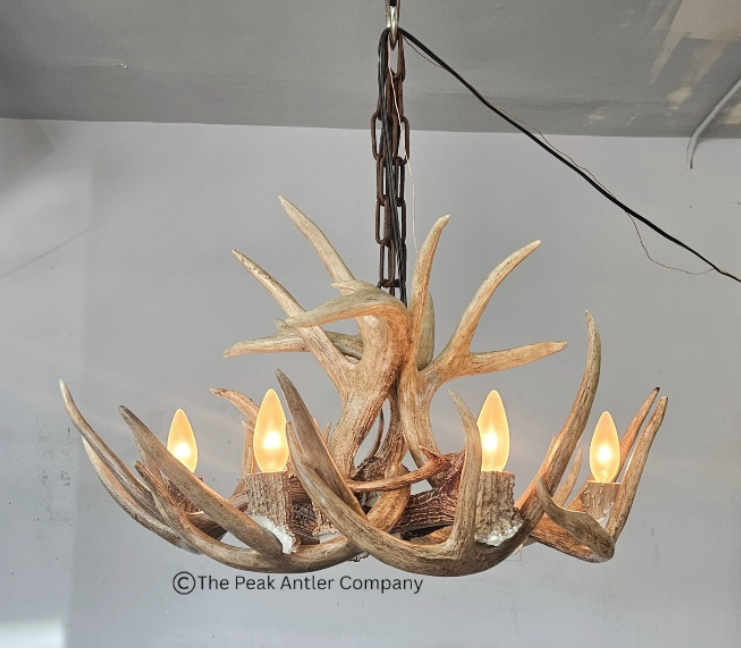 Medium Deer Antler Chandelier