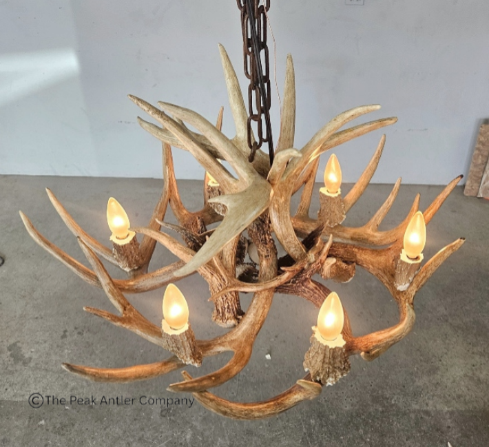 Medium Deer Antler Chandelier