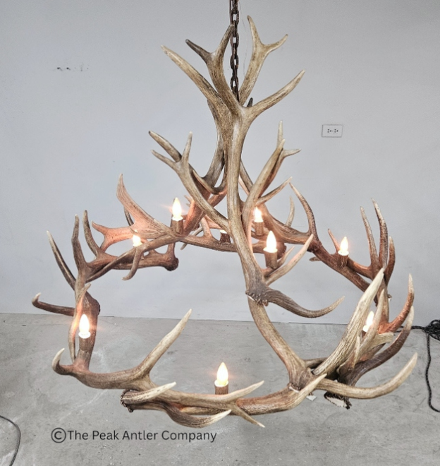 551-M - Elk Antler Chandelier