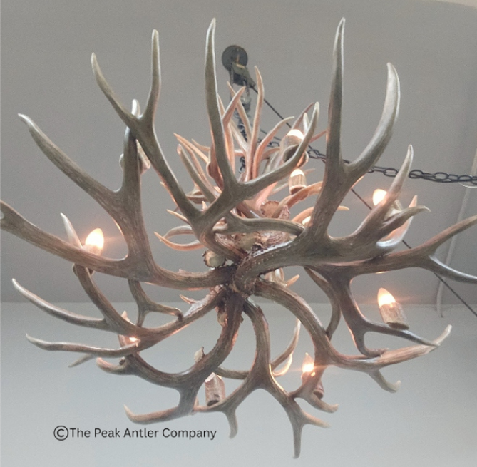 Small deer antler chandelier